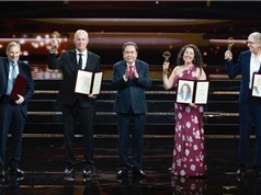 VinFuture 2025: Giải thưởng 3 triệu USD thuộc về khám phá và phát triển vaccine HPV